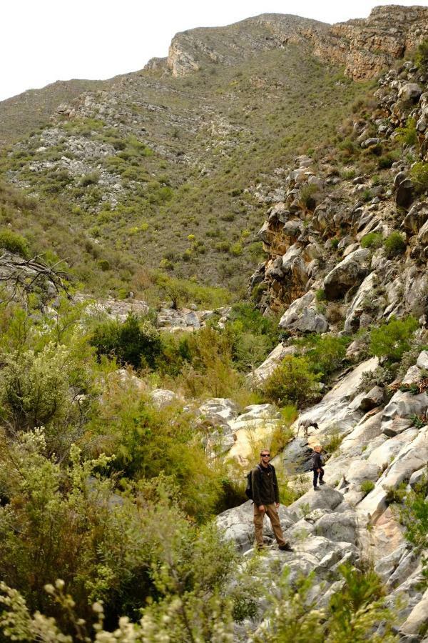 Kingfisher Cottages, Langhoogte Farm Montagu Εξωτερικό φωτογραφία